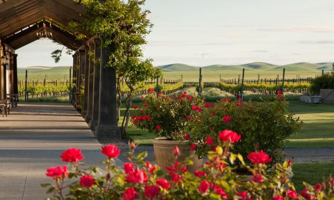 Walla Walla Hotel | The Inn at Abeja