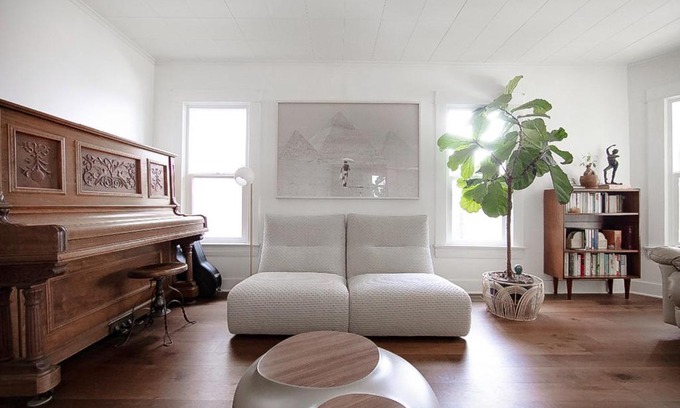 Richmond House | The Japanese Maple Bungalow