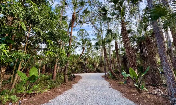 Rural Estates House | The Jungle