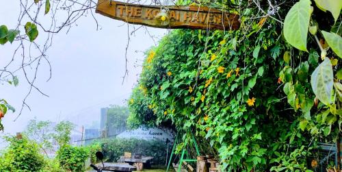 Kodaikanal Resort | The Kodai Heaven