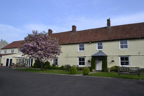 Ashcott Bed & Breakfast | The Lawns Tea Room and B&B