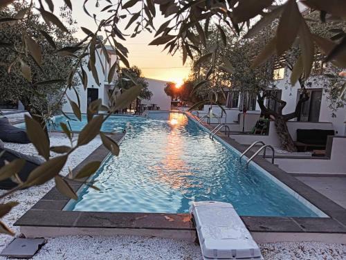 Skala Rachoniou Hotel | The Olive Hills