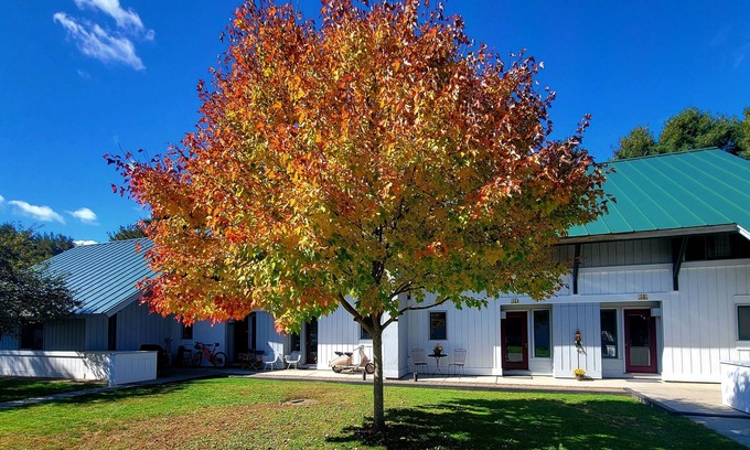 Stowe Area House | The perfect adult couples retreat. 2-king bedroom right along the Mountain Road.