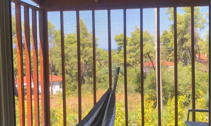 Vourvourou House | The PineCabin, a sweet little house surrounded by pine trees and cute squirrels!