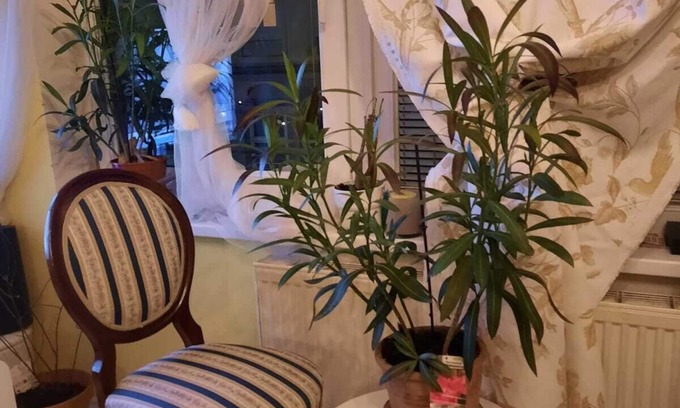 Mariahilf Apartment | The Place to be City Center Appartements