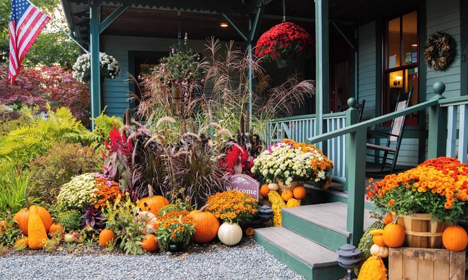 Bar Harbor Bed & Breakfast | The Primrose