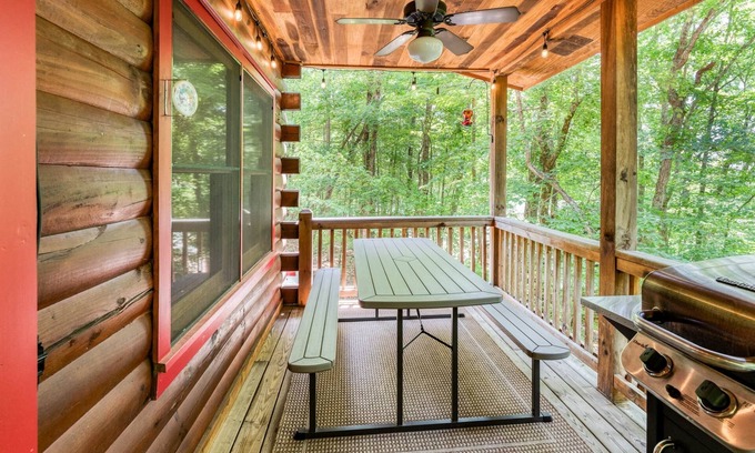 Blue Ridge Cabin | The Red Roof Cottage in Cherry Log Mountain