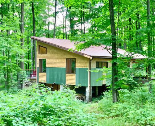Petoskey Apartment | The Rhubarbary Ruins - with an outdoor sauna