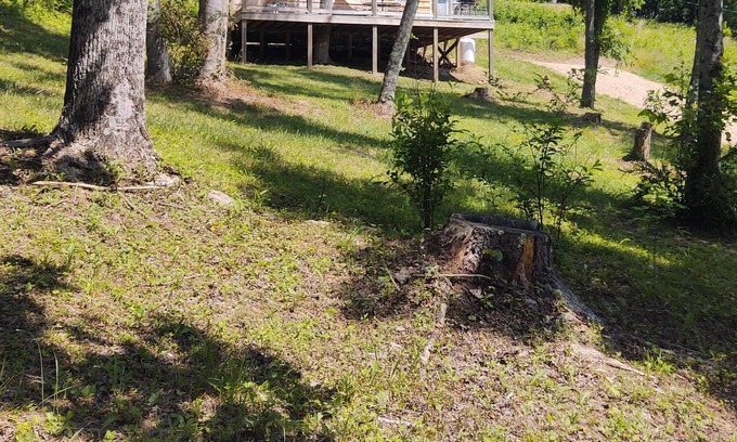 Mountain City Cabin | The Sawdust Cabin, quiet setting in East Tennessee!