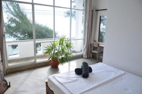 Midigama East Hotel | The Stables Oceanfront Hotel Midigama