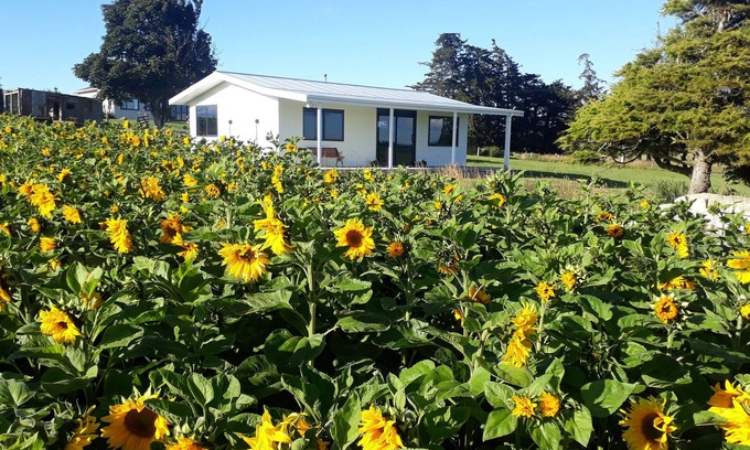 Waitaki District Cottage | The Sun set Cottage 5min from Oamaru or Kakanui