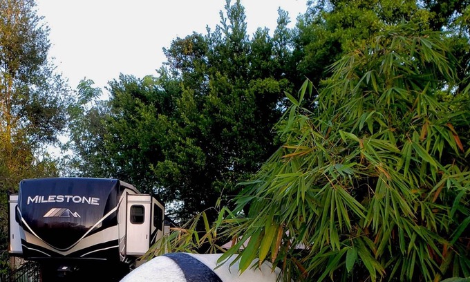 Dade City House | The Sweet Panda, The perfect getaway