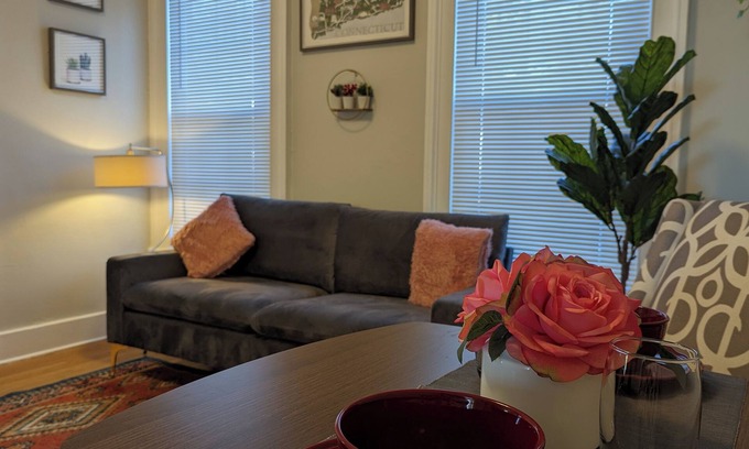 New Haven Apartment | The tidy place close by Yale hospitals and campus in New Haven.