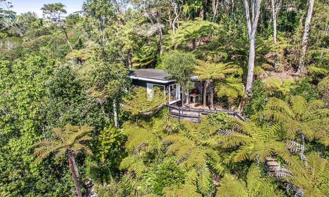 Raglan House | The Treehouse - Raglan Holiday Studio