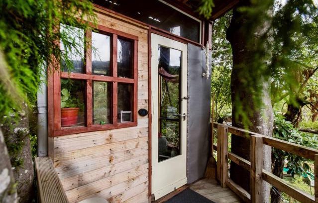 Upper Hutt Other | The Treehut at the Rabbithole, Upper Hutt