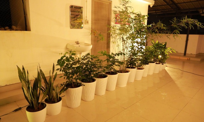 Fort Kochi Hotel | The WAVES by the Beach Inn