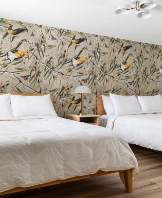 Grayling Hotel | The Windmoor Lodge
