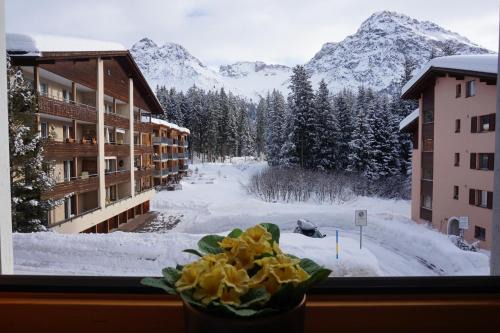 Arosa Apartment | The Window to the Mountains