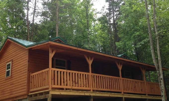 Carbon Hill Cabin | This Cabin will have you Bird watching
