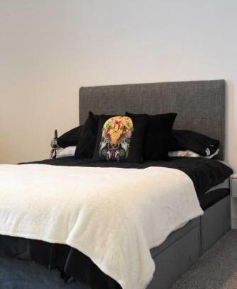 Carlisle House | Thomson Haven