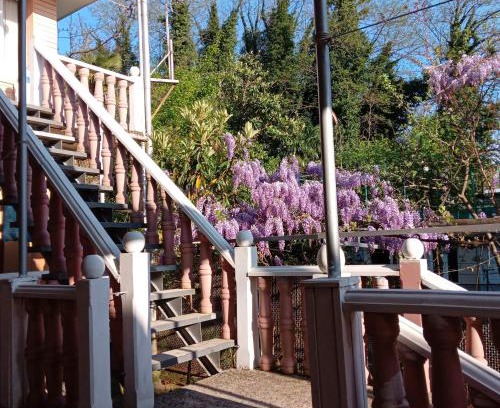 Kutaisi Bed & Breakfast | Tilda&Matilda