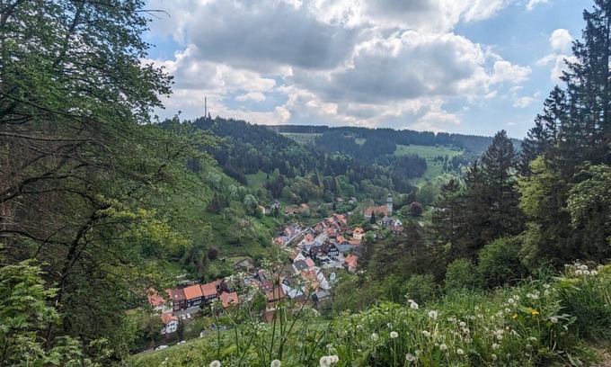 Wildemann Apartment | Time to recover! Cozy vacation apartment in the green Harz Mountains!