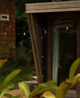 Diessen House | Tiny Eco House Alba - rust, natuur en eenvoud in het Kempenbos