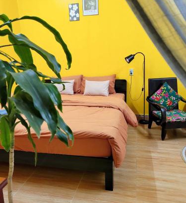 Cat Hai House | Tiny Garden House Cat Ba