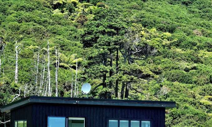 Greymouth Apartment | Tiny House close to Walking Tracks and beach only 5 mins to Greymouth Central