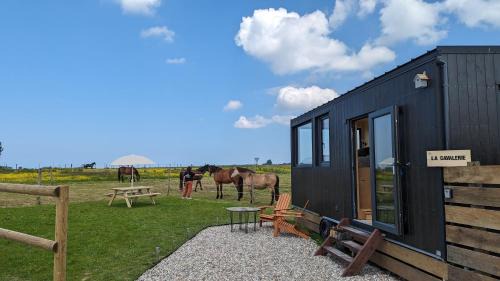 Annouville-Vilmesnil Ski Chalet | Tiny House La Cavalerie, au milieu des chevaux !