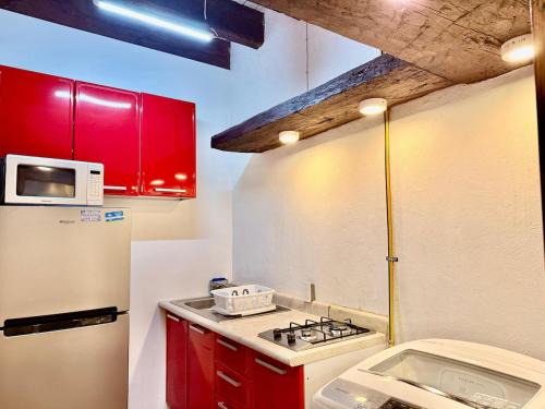 Coyoacan Apartment | Tizapan 04 NEW 1BE&1BA