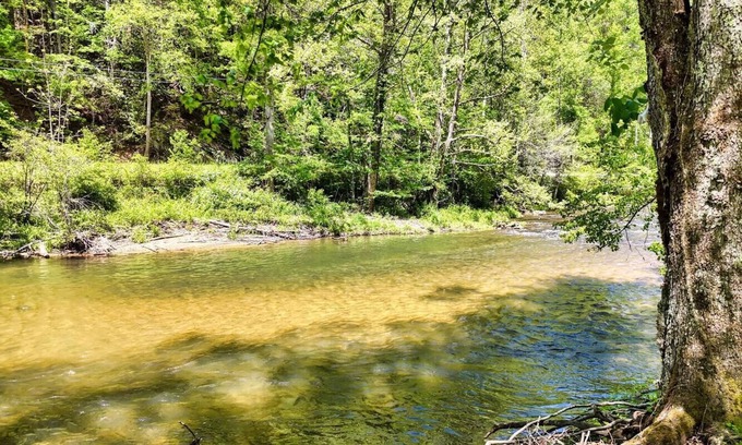 Suches Cabin | Toccoa River Cabin - Peaceful, Private Fishing Retreat on the Toccoa River!