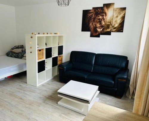 Ferrandiere - Maisons Neuves Apartment | Très agréable studio à Villeurbanne