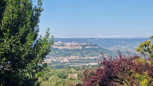 Orvieto House | Tra gli ulivi e il panorama