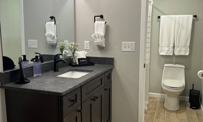 Brevard Apartment | Trailhead Cottage - Half mile to PNF, dog friendly!