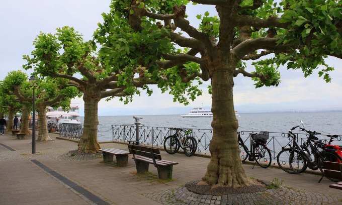 Meersburg Apartment | Traumhafte Sicht auf den See, die Berge und die Promenade