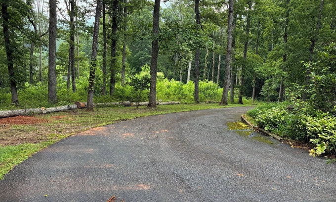 Young Harris House | TREE HOUSE TREAT. Peaceful COMFY SECLUDED MOUNTAIN HOME surrounded by trees.