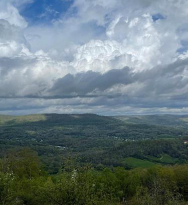 Trenton House | Tree Top View of lookout mountain
