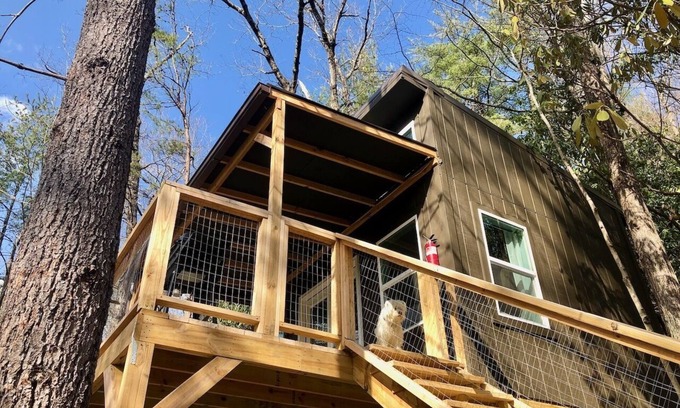 Cosby Cabin | Treehouse Glamping 3 Bordering GSMNP, Off-Grid