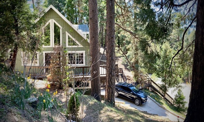 Cedar Glen House | Treehouse Lodge- A quiet hilltop creative retreat, minutes from the lake.