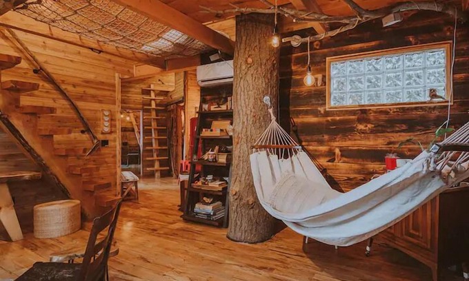 Port Angeles House | Treehouse over the water - Eagle's Nest
