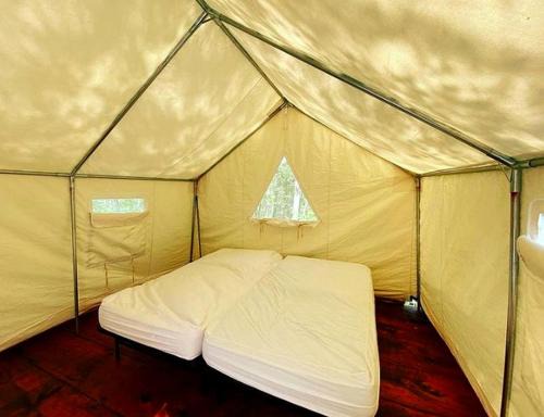Chatham Other | Treehouse-Style Tent Rental in the White Mountain National Forest of New Hampshire