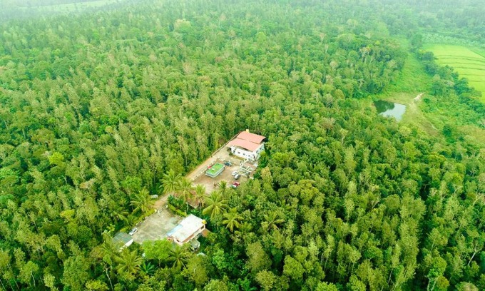 Belur House | Triwoods Plantation Farm Stay