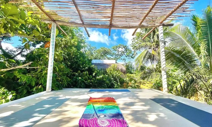 Puerto Juarez Apartment | Tropical Loft : Vegan, Nature, Free Bikes & Beachn