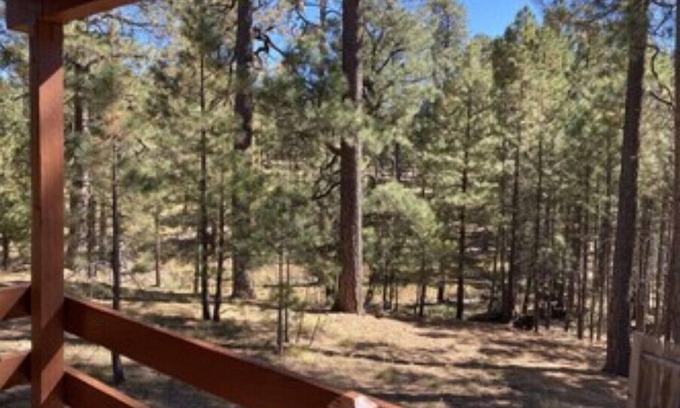 Heber Cabin | Trout Springs Cabin #2