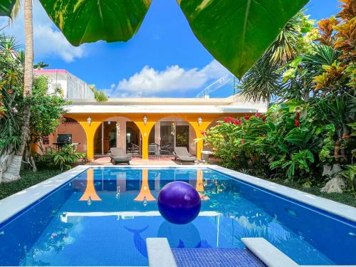 Colonia Adolfo Lopez Mateos House | Troy's House