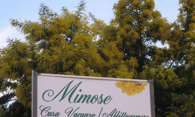 Palinuro House | Tulip House 2 rooms, For your summer vacation in the sea of Palinuro