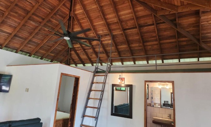 Bullet Tree Falls House | Turtle Suite