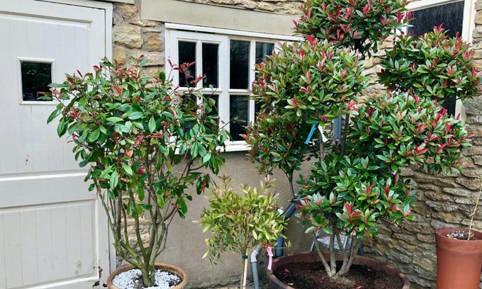 Sawdon Bed & Breakfast | Twin Room The Anvil Bed and Breakfast