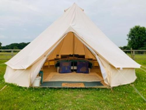 New Forest District Other | Twinkle Bell 1